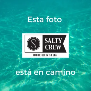 SALTY CREW YELLOWFIN CLASSIC S/S TEE | CAMISETA CLSICA DE MANGA CORTA
